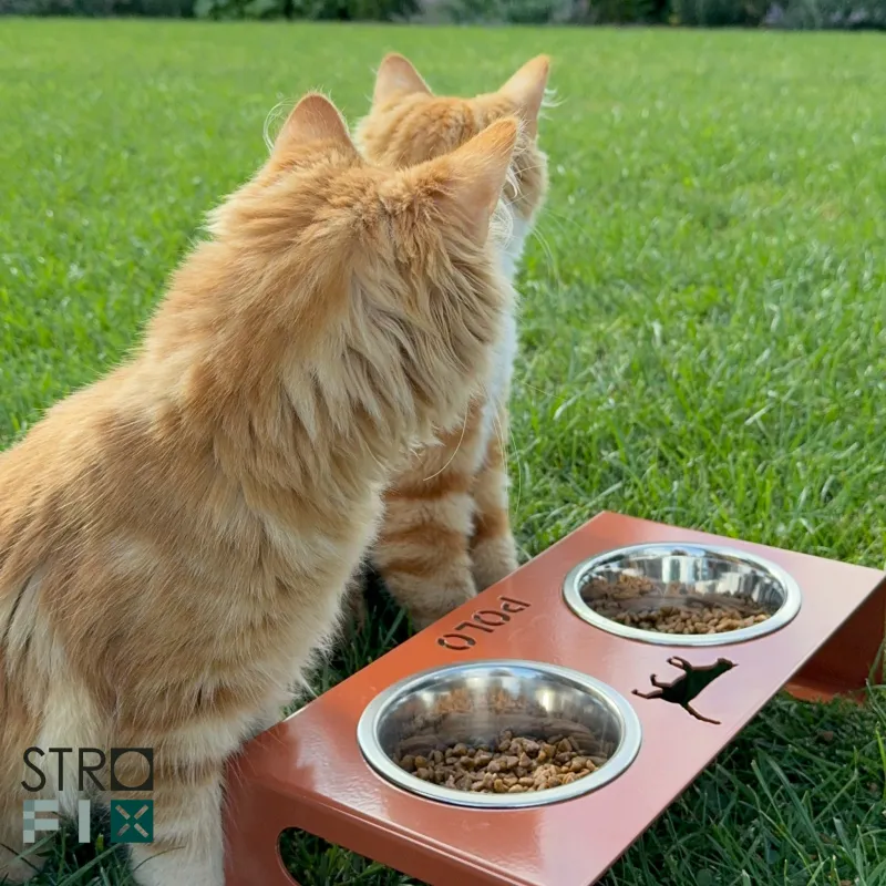 Animal feeding tray, 350x180x80mm-0